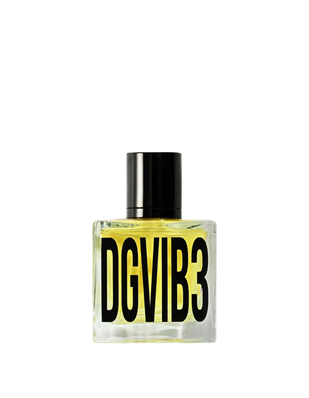 DGVIB3 Edp